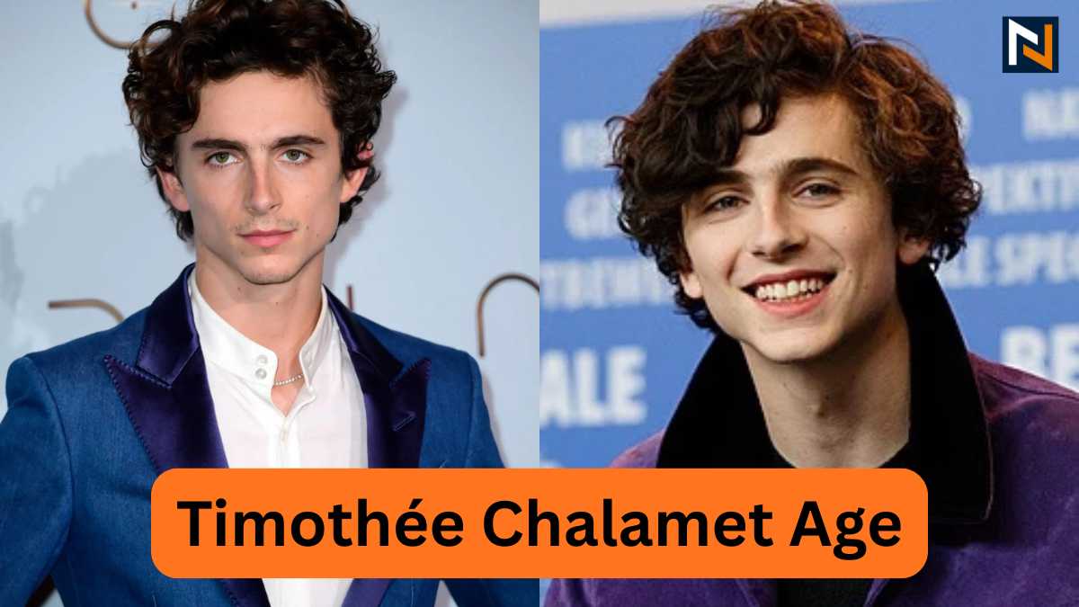 Timothée Chalamet Age, Height, Biography, Net Worth, Movies & Personal Life
